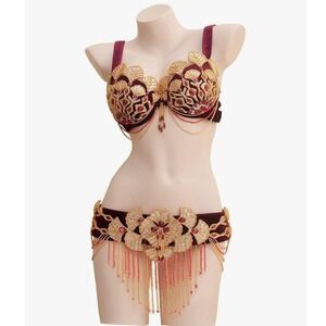 Luxury Embellished Belly Dance Costume Set – Burgundy & Gold – Festival Outfit